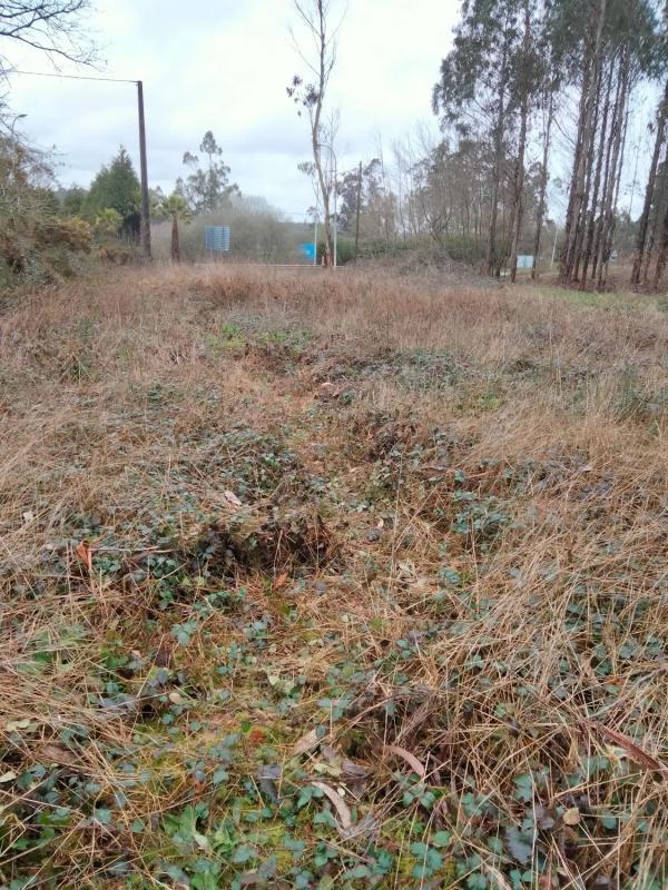 Terreno en venta en Santiago de Compostela, A Coruña photo 4