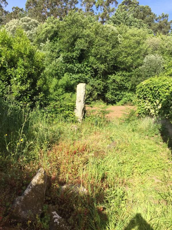 Land for sale in Santiago de Compostela, A Coruña photo 4