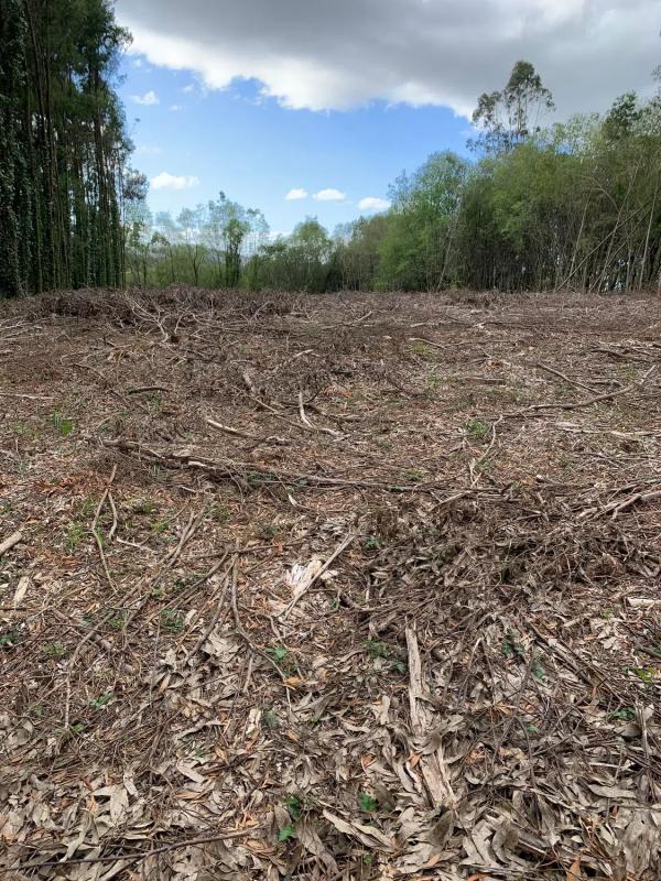 Land for sale in Santiago de Compostela, A Coruña photo 2