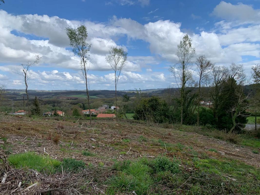 Land for sale in Santiago de Compostela, A Coruña photo 4