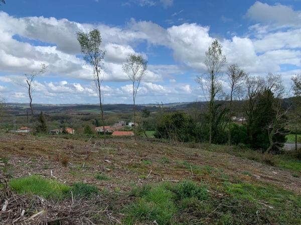 Terreno en calle Formaris, 31 photo 4