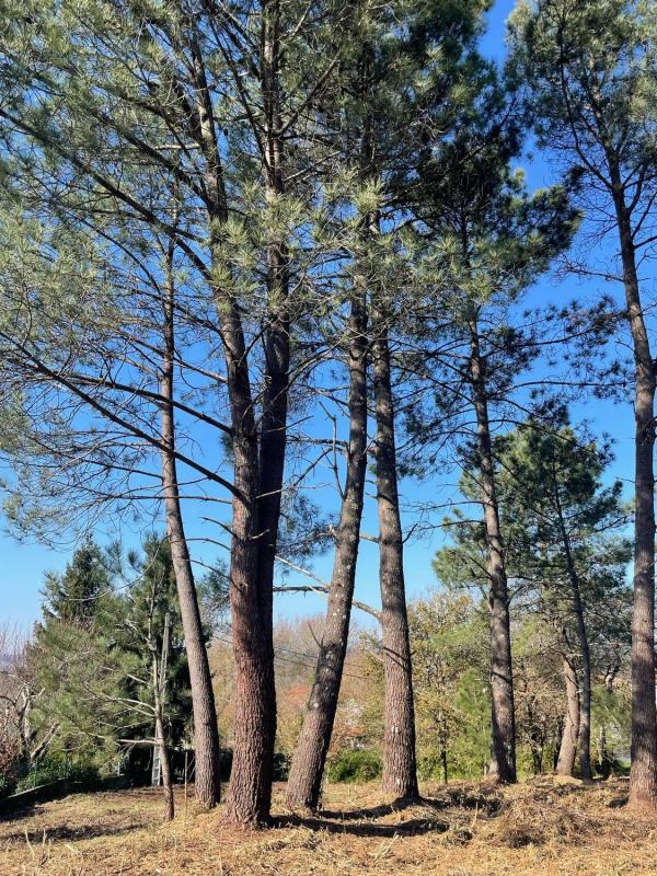 Land for sale in Ames, A Coruña photo 3