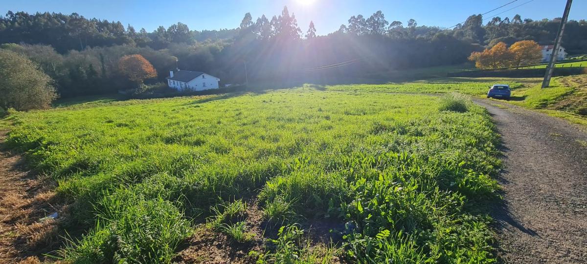 Terreno en venta en Teo, A Coruña photo 5