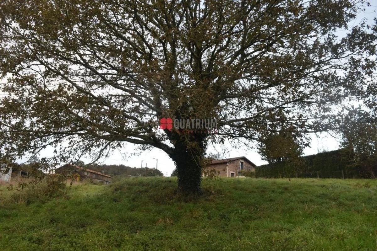 Land for sale in Santiago de Compostela, A Coruña photo 3