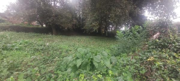 Terreno en San Lazaro - Meixonfrio photo 1