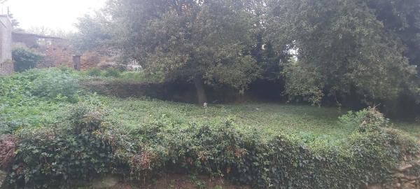 Terreno en San Lazaro - Meixonfrio photo 2