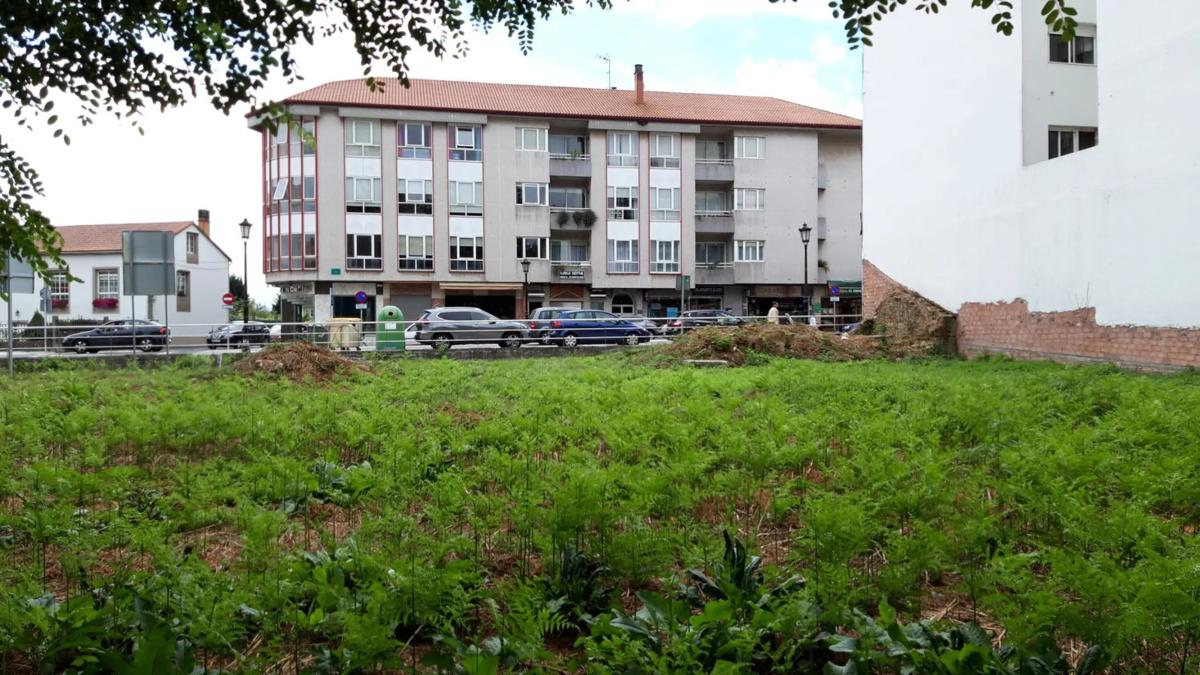 Terreno en venta en Ames, A Coruña photo 3