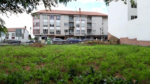 Terreno en avenida da Maía, 53 photo 3