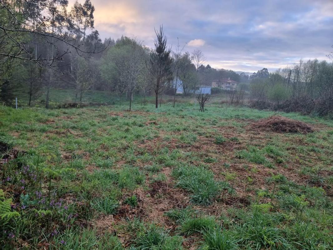 Terreno en venta en Brion, A Coruña photo 3