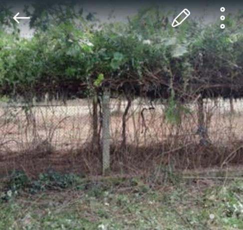 Terreno en Gatente trobe, 6 photo 4