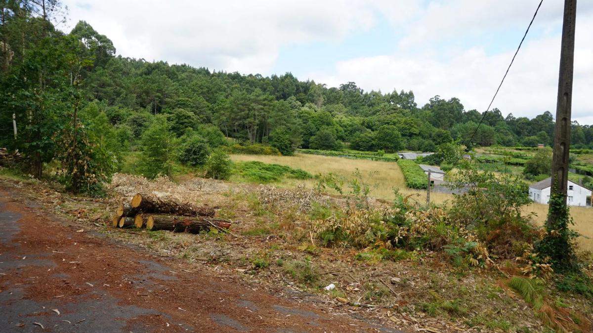 Terreno en venta en Brion, A Coruña photo 2