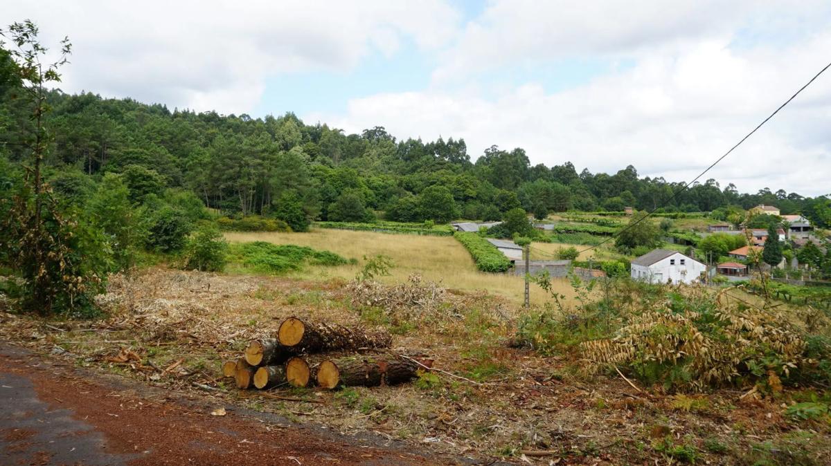 Terreno en venta en Brion, A Coruña photo 4
