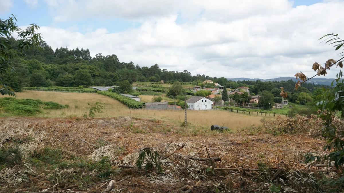 Terreno en venta en Brion, A Coruña photo 5
