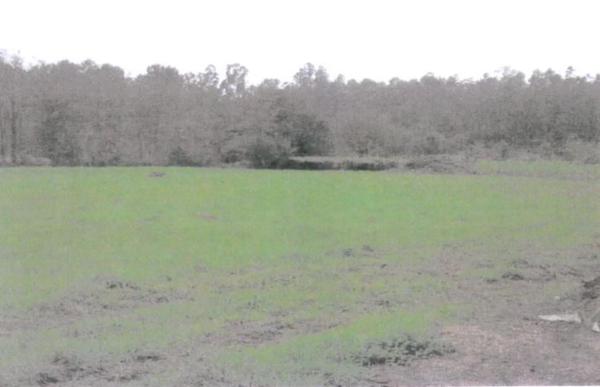Terreno en Bertamiras s/n photo 2