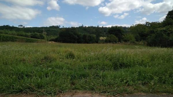 Terreno en Pite s/n photo 2