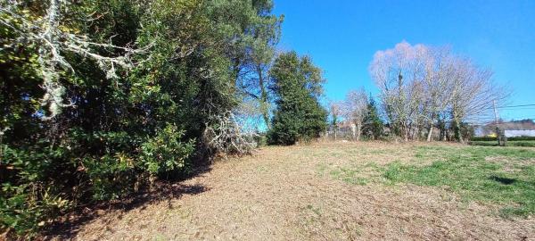 Terreno en trasmonte photo 1