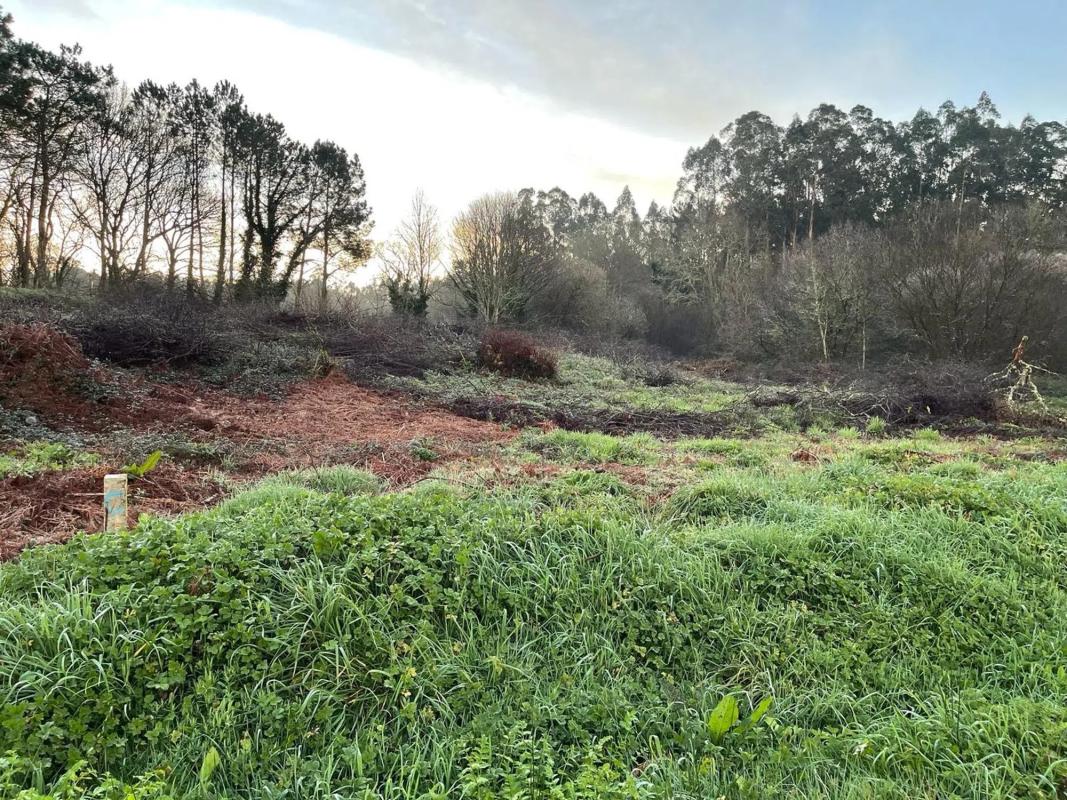 Terreno en venta en Ames, A Coruña photo 3