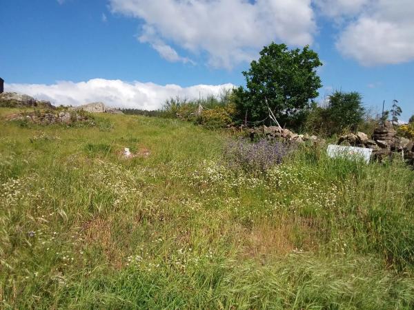 Terreno en Figueiras photo 1