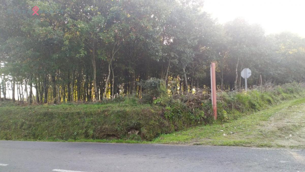 Terreno en venta en Ames, A Coruña photo 5