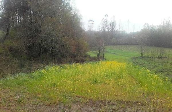 Terreno en Lugar Folgueiras photo 2