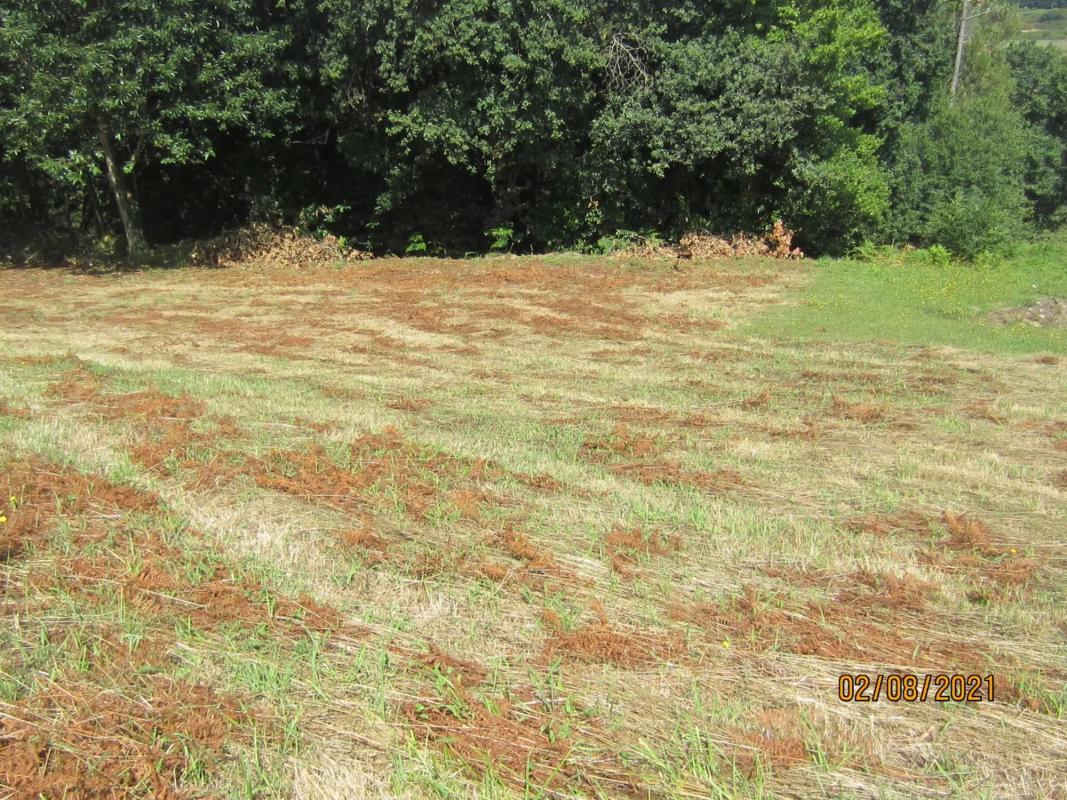 Terreno en venta en Brion, A Coruña photo 2