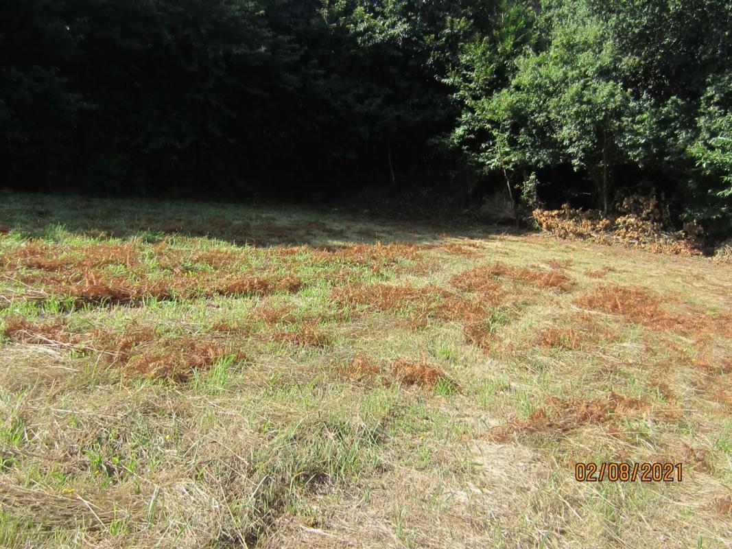 Terreno en venta en Brion, A Coruña photo 3