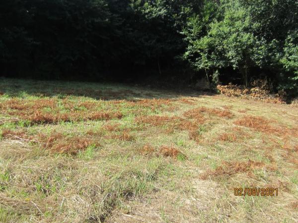 Terreno en Gundin, km 15 photo 3