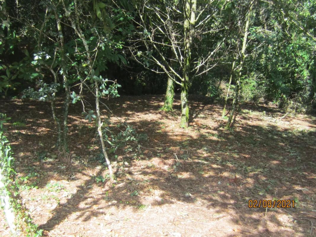 Terreno en venta en Brion, A Coruña photo 4