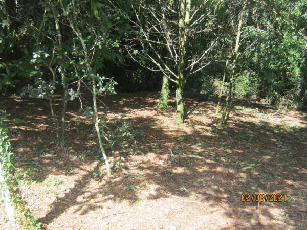 Terreno en Gundin, km 15 photo 4
