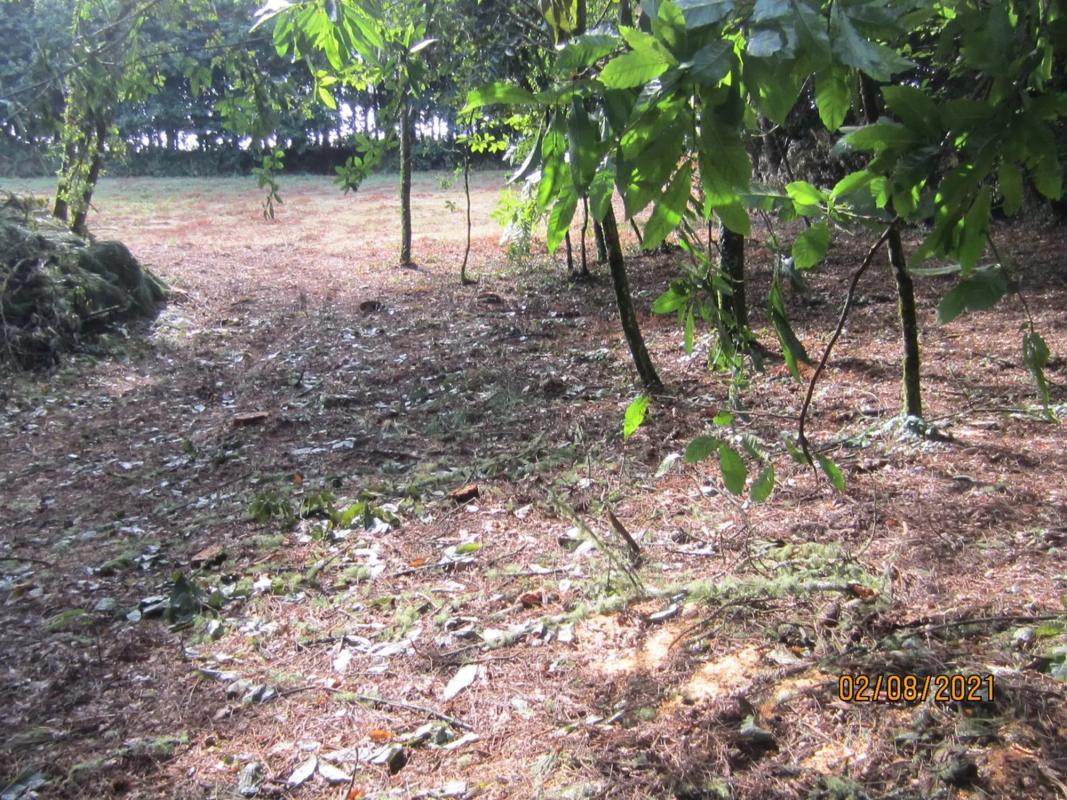Terreno en venta en Brion, A Coruña photo 5