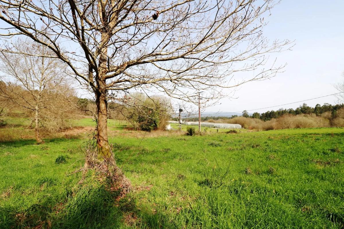 Terreno en venta en Brion, A Coruña photo 4