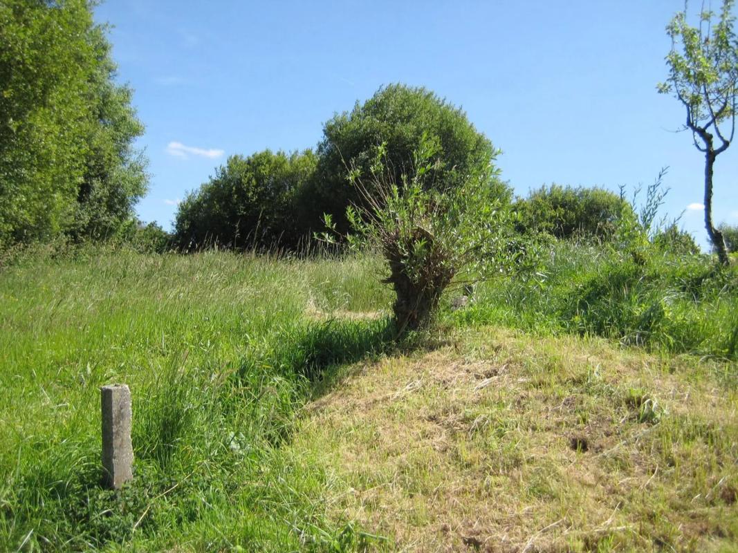 Land for sale in Kings, A Coruña photo 1