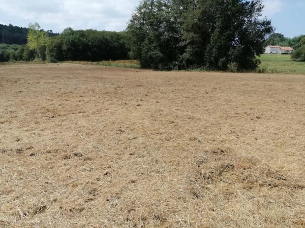Terreno en Vilasuso s/n photo 4