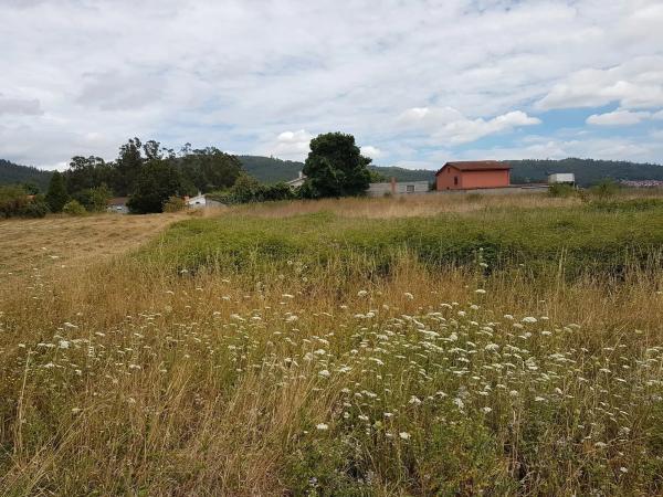 Terreno en Área de Ames photo 4