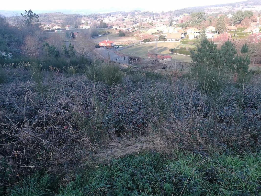 Terreno en venta en Teo, A Coruña photo 1