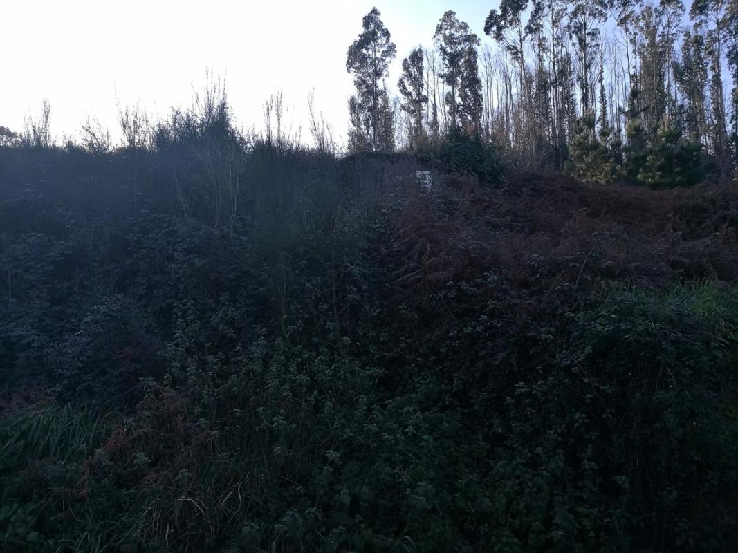 Terreno en venta en Teo, A Coruña photo 2