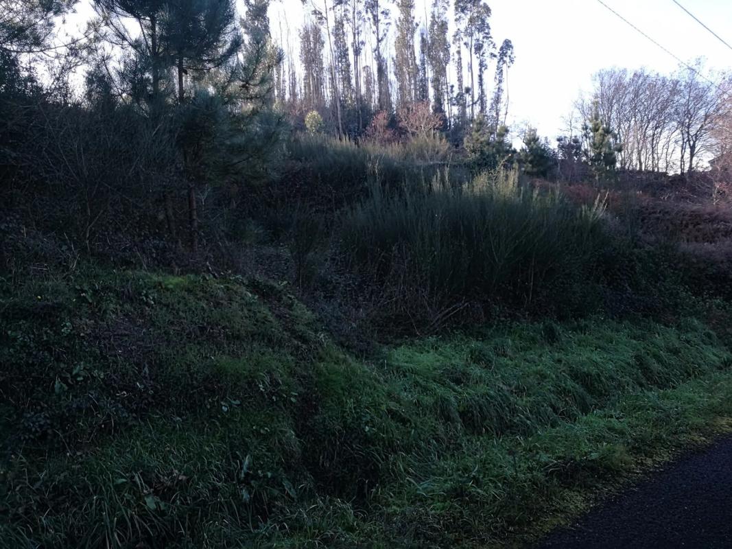 Terreno en venta en Teo, A Coruña photo 3