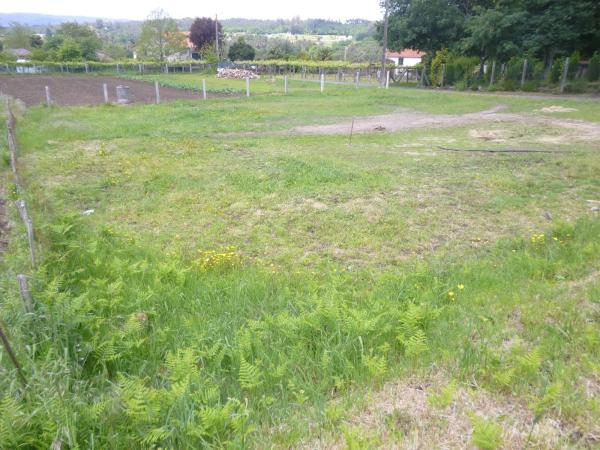 Terreno en Vedra photo 3