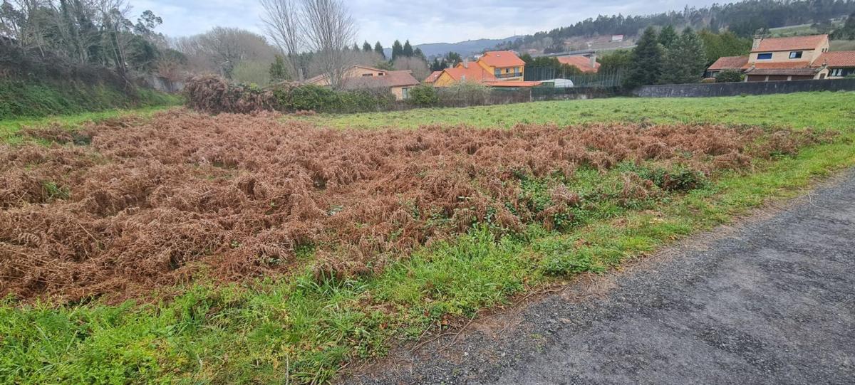 Terreno en venta en Ames, A Coruña photo 5
