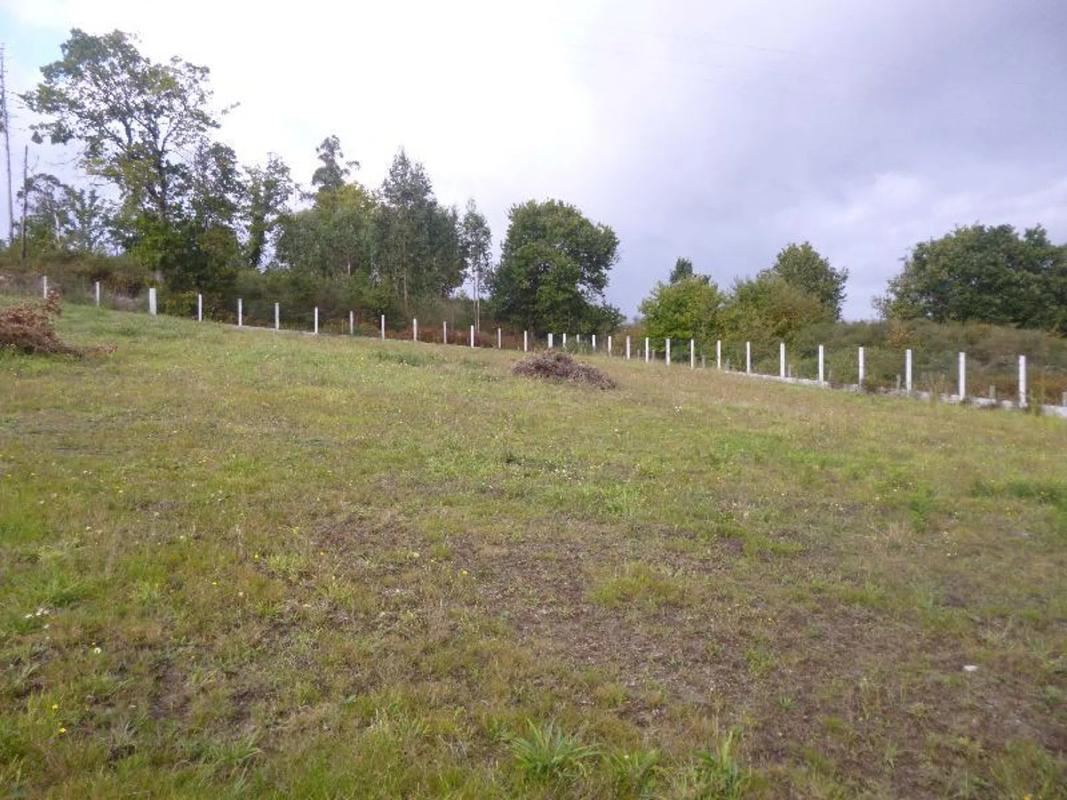 Terreno en venta en Brion, A Coruña photo 4