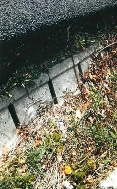 Działka na sprzedaż w Santiago de Compostela, A Coruña photo 4