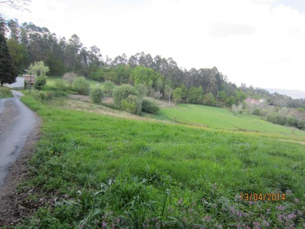Terreno en calle Valiño, km 0 photo