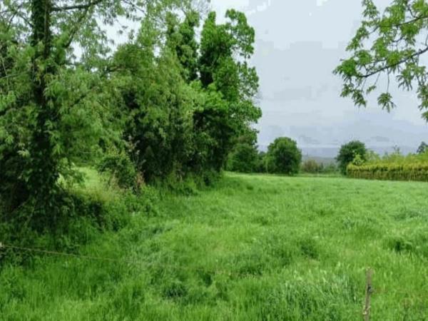 Terreno en Santiso photo 2