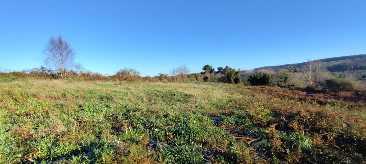 Terreno en venta en Sobrado, A Coruña photo 2