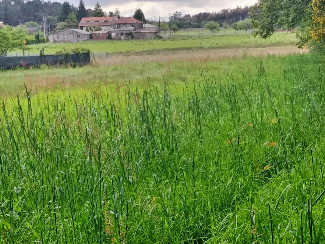 Land for sale in Tordoia, A Coruña photo 2