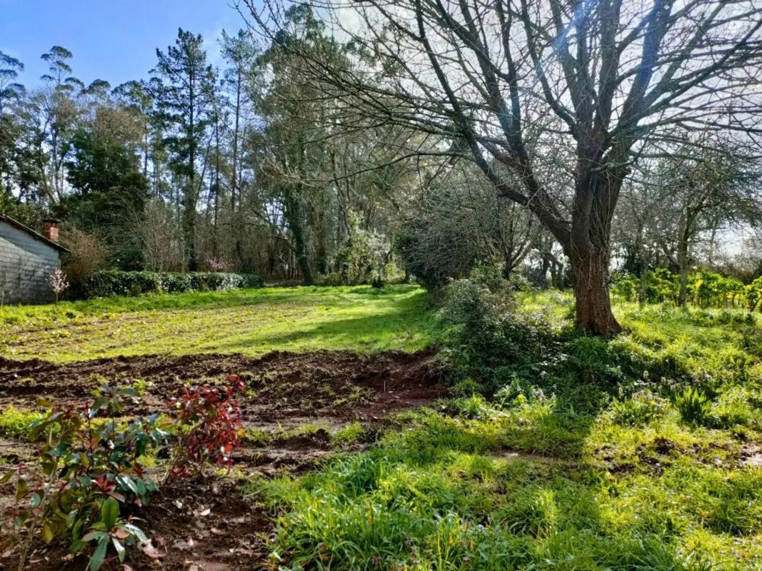 Terreno en venta en Touro, A Coruña photo 4