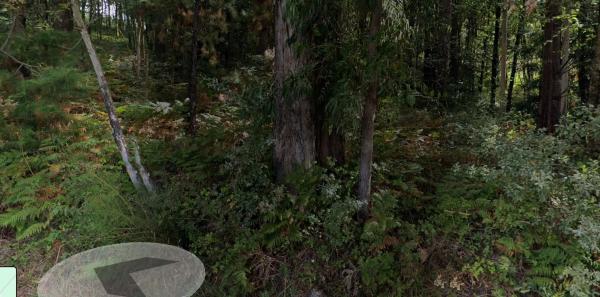 Terreno en Ponte, 9 photo 2