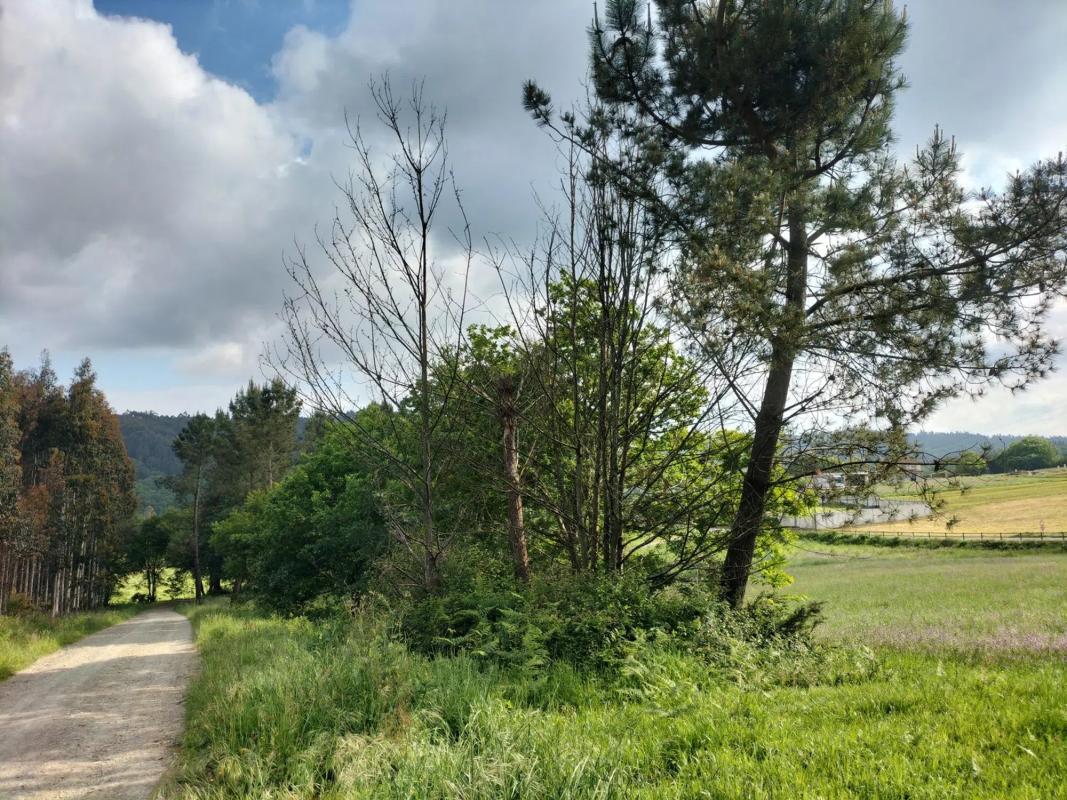 Land for sale in Trace, A Coruña photo 5