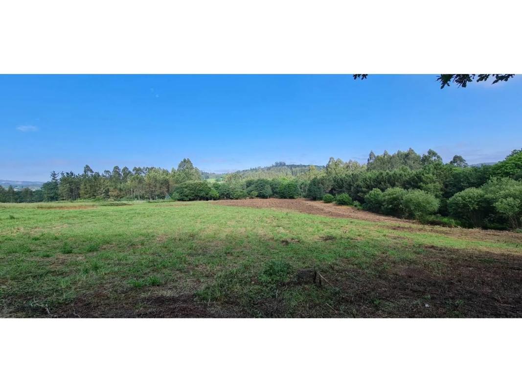 Land for sale in Trace, A Coruña photo 4