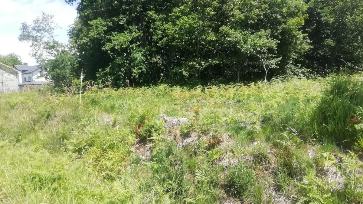 Terreno en venta en Trazo, A Coruña photo 5